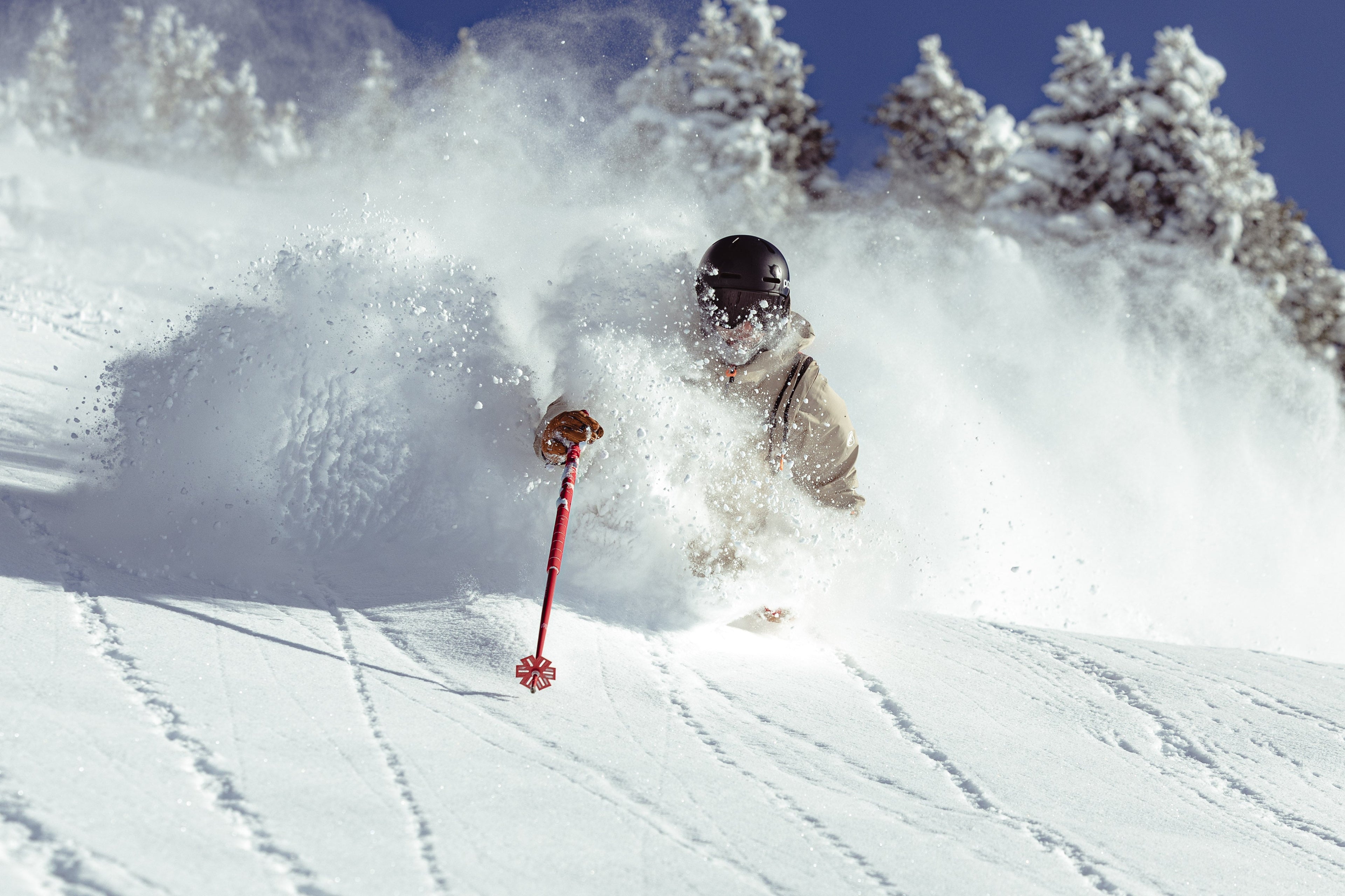 Freeride
