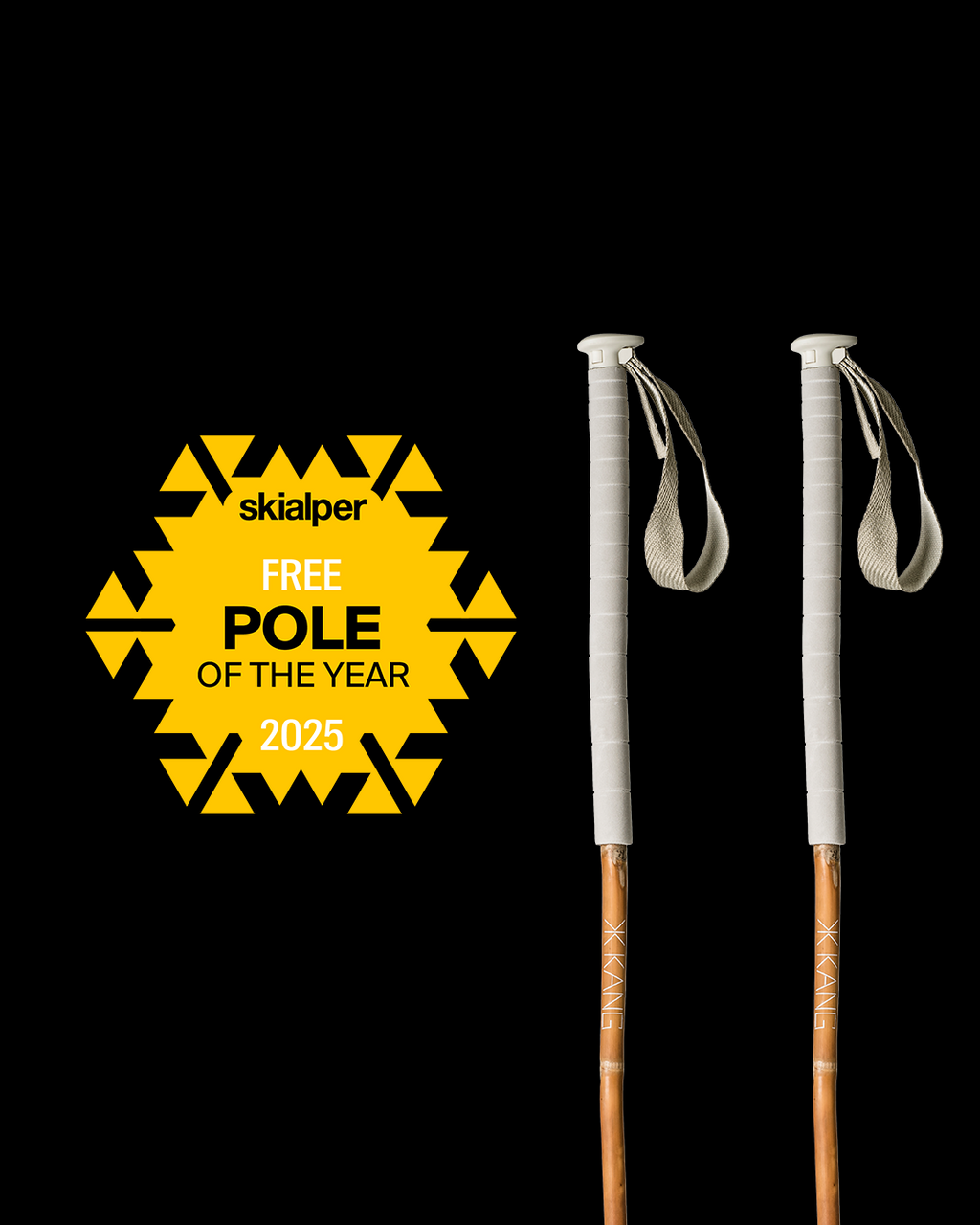 Bamboo Freeride is Ski alper magazine freeride pole of the year